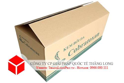 Thùng carton 3 lớp in flexo