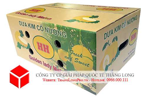 Thùng carton 3 lớp in offset