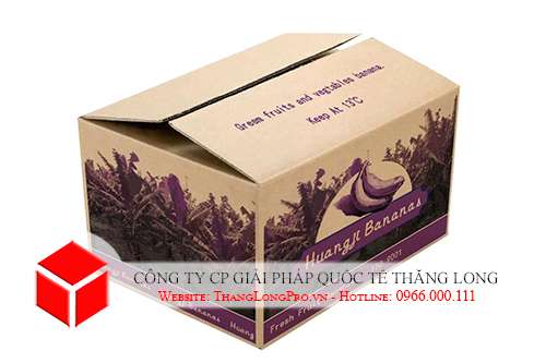 Thùng carton 5 lớp in flexo